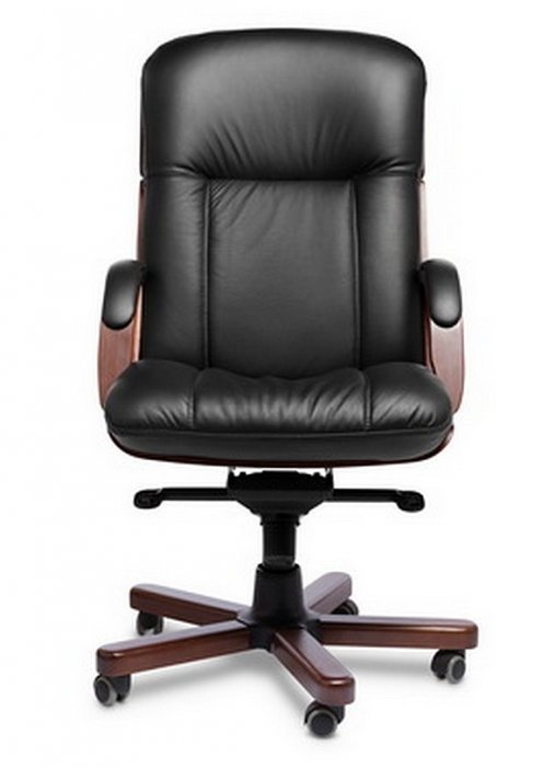 Кресло руководителя кожа CANNES A - вид 2